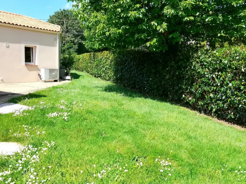 À quelle distance de la limite peut-on planter un arbre ?